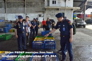 KKP Sidak PT BSA Terkait PKKPRL Dermaga Jetty Tangkahan