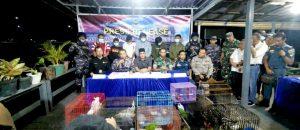 TNI AL Berhasil Gagalkan Pengiriman Satwa Dilindungi di Perairan Kumai Kalimantan
