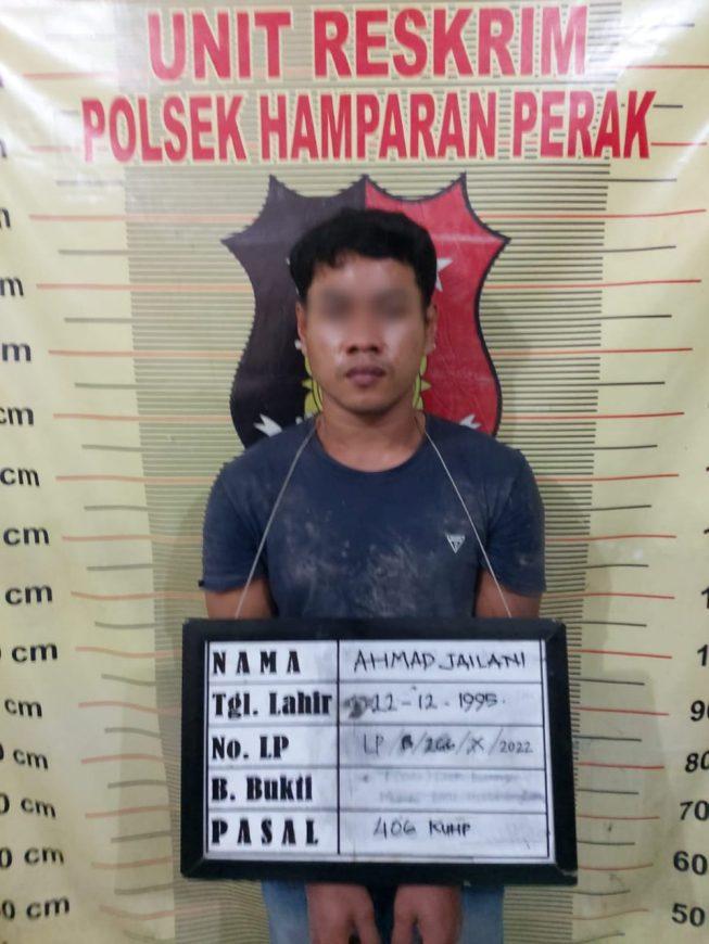 3 Bulan Buronan Polisi, Pelaku Pengrusakan Rumah Sekdes Hamparan Perak Ditangkap