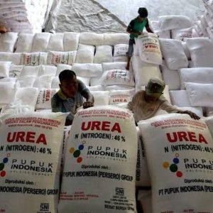Polda Sumut Diminta Usut Dugaan Penyelewengan Pupuk Bersubsidi di Hamparan Perak