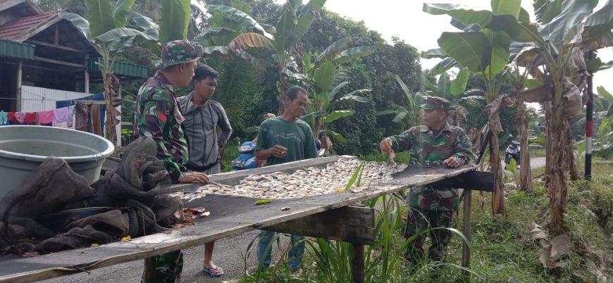 Bukti Kepedulian, Satgas TMMD Reguler Ke-116 Bantu Warga Jemur Ikan Asin