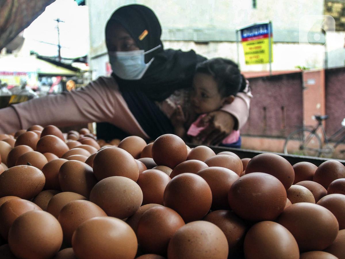 Harga Telur Ayam Naik