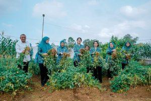 Ketua TP PKK Ajak Seluruh Kader dan Masyarakat Tidak Boros Pangan