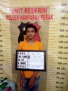 Hasil Curi 100 Ekor Ayam Kampung Buat Beli Narkoba