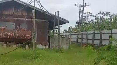 IMG 20250223 WA0258