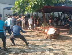 Badiklat Kejaksaan RI Sembelih 13 Hewan Kurban