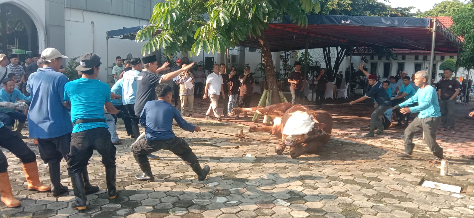 5badb1381d1d780bb3499961a404693a