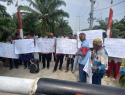 Diduga Ubah Kawasan Hutan Jadi Kebun Sawit, Kelompok 80 Desak Presiden Tutup PT DMK