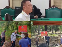 Pengadilan Tinggi Perkuat PN Medan, Akuang Divonis 10 Tahun Penjara dan Bayar UP Rp 856 Miliar, Hakim Putuskan Ditahan Tapi Masih Keliaran 