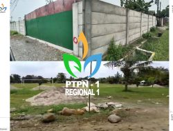 Lapangan Digembok, Negara Dirampok: Jejak Darsono Hadi dan Irwan Peranginangin di Balik Dugaan Konspirasi Lahan PTPN