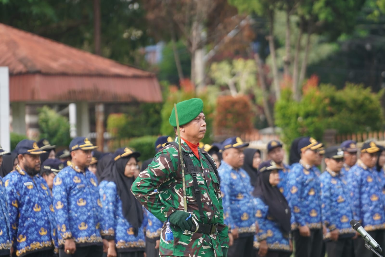 IMG 20251213 WA0272