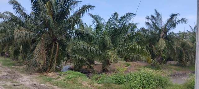 IMG 20260120 WA0579