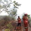 Titik Panas di Sumut Meningkat Jadi 33, BMKG Imbau Waspada Karhutla