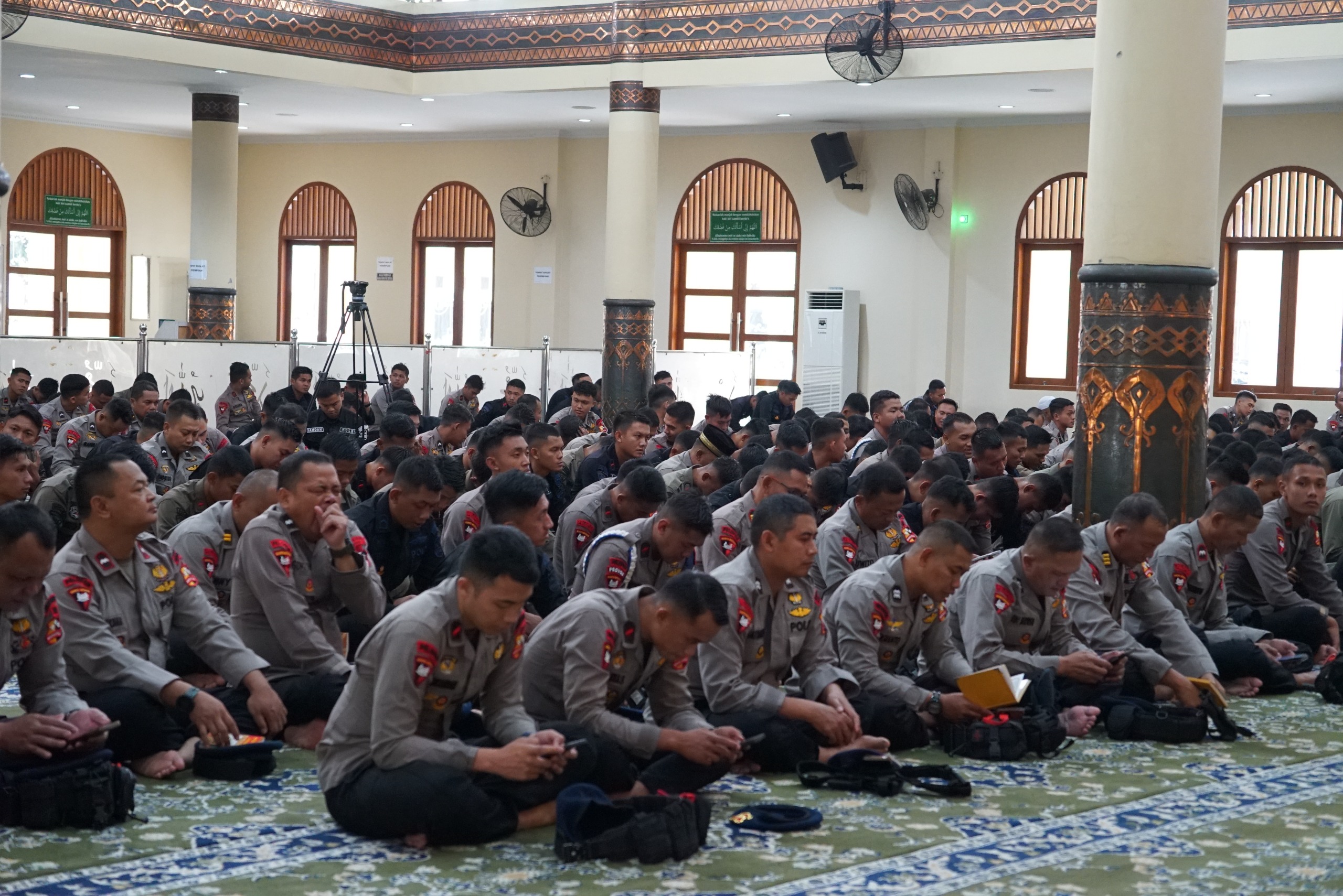 d26994b7 b746 43df 96a9 6297e510b7b4 517230