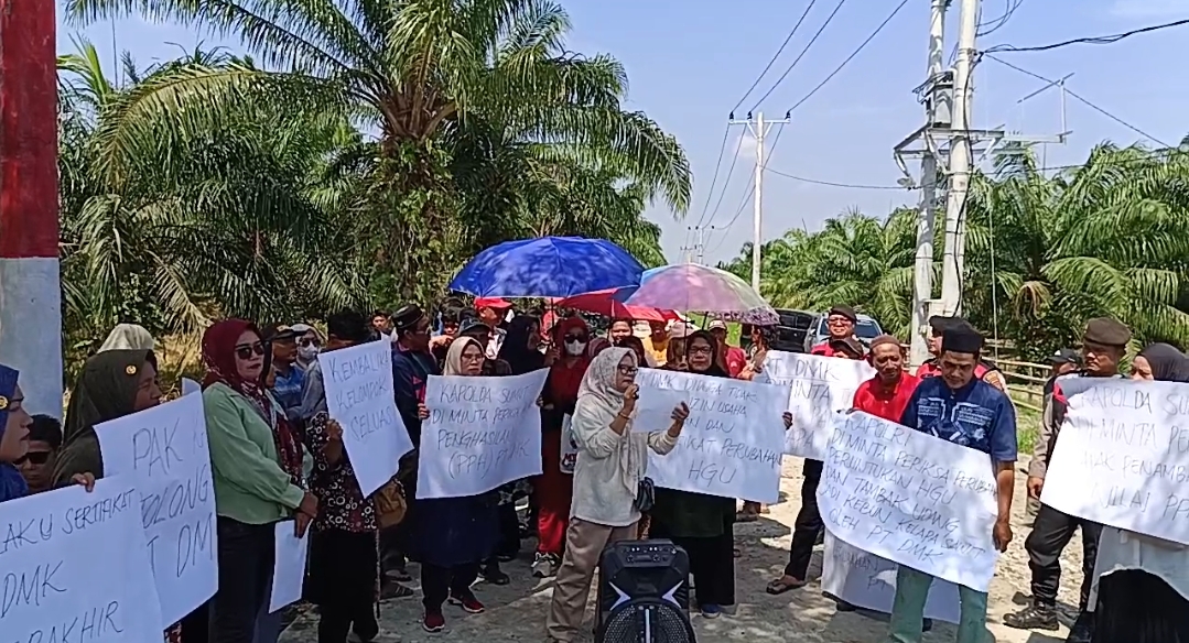 3924b110 0078 444d b240 8ec6a101b059