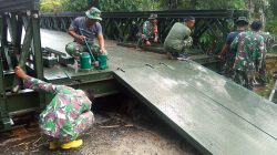 fd55b8ab 905f 4d3a a185 c5ba4b0dc56b