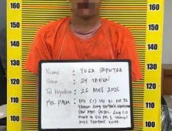 Ditresnarkoba Polda Sumut Seser Peredaran Ganja di Medan Denai, Seorang Diamankan