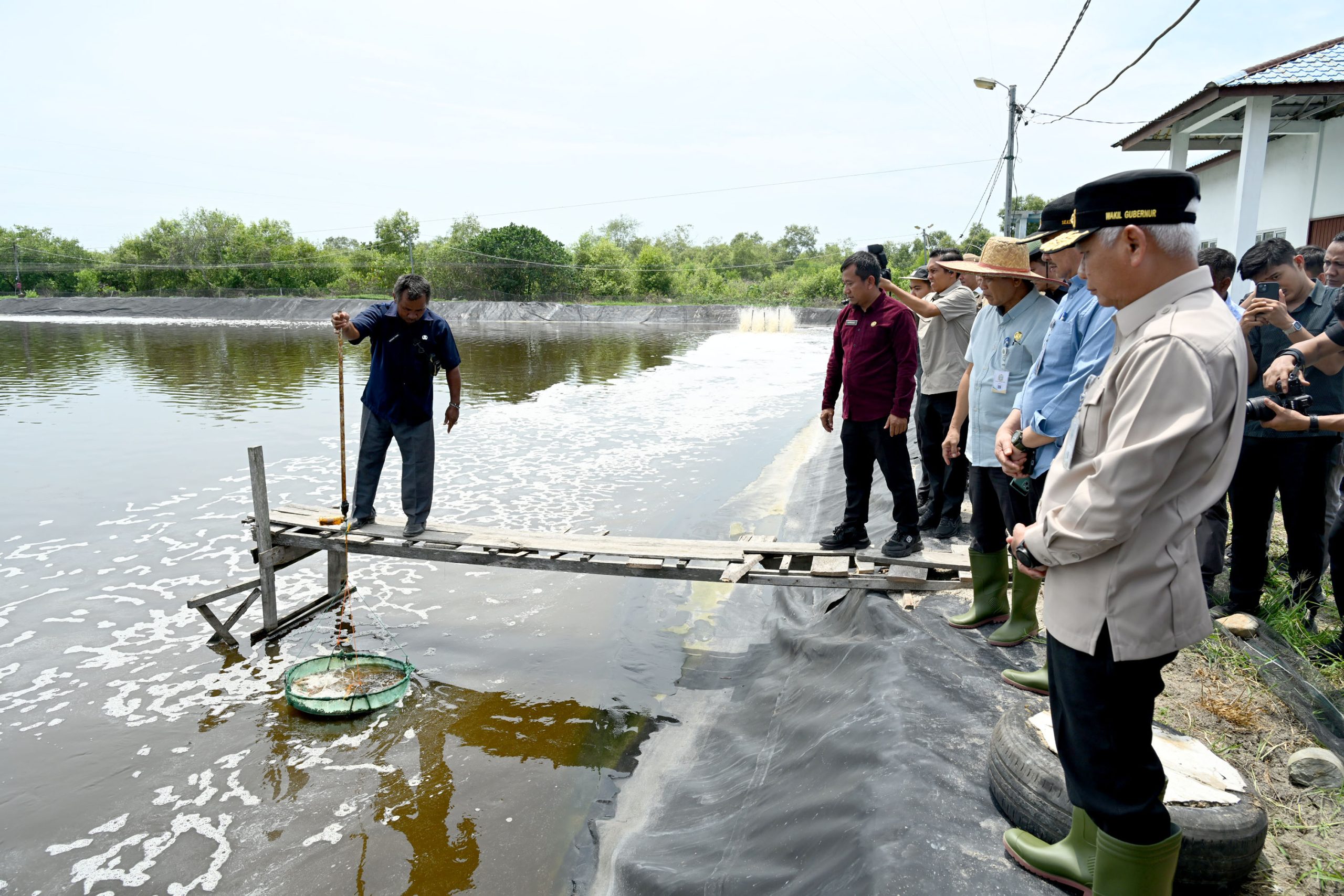 Foto Wagub Sumut Tinjau UPTD Budidaya Ikan Air Payau dan Laut Sialang Buah 2.jpg scaled