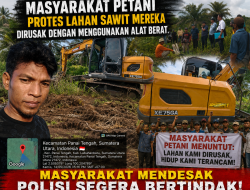 Mafia Tanah Diduga Rusak Ribuan Sawit Petani di Panai Tengah, Polisi Diminta Bertindak Tegas