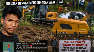 Mafia Tanah Diduga Rusak Ribuan Sawit Petani di Panai Tengah, Polisi Diminta Bertindak Tegas