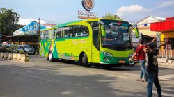 fbcf4374 5ee5 4d82 aedf 6104d5439745