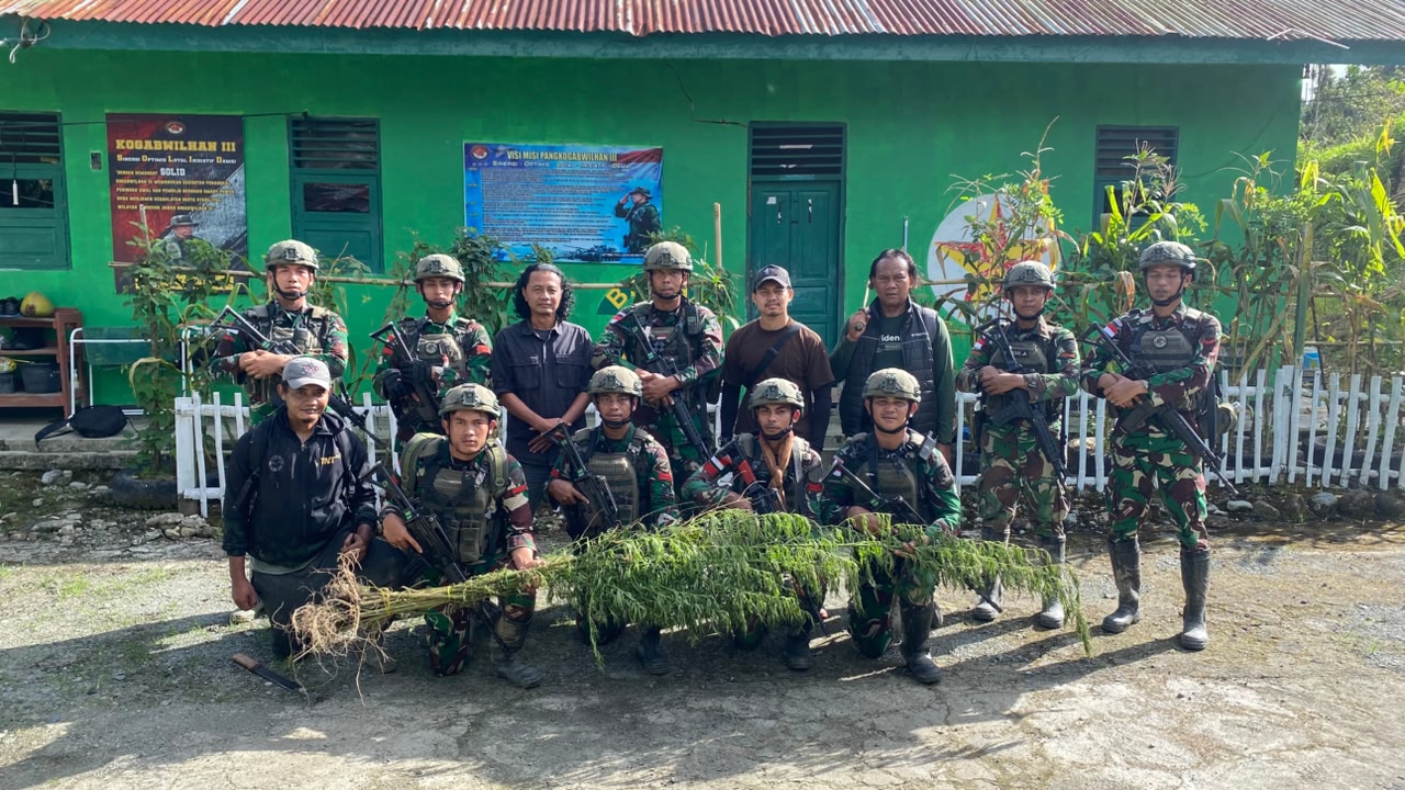 Melalui Patroli Keamanan Gabungan, Satgas Swasembada Yonif 643/Wns Koops TNI Habema Berhasil Temukan Ladang Ganja 2 5e24a320 094c 4a45 862f 27217b607f5b