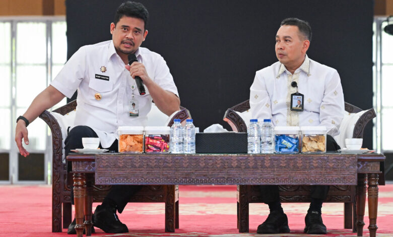 Audiensi Badan Pengelola Kaldera Toba 4.jpg 780x470 1