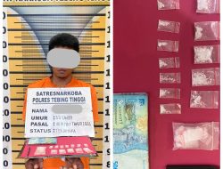 Residivis Narkoba Ditangkap Lagi, Polisi Sita 12 Paket Sabu