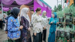 Ketua TP PKK Monitoring di Tebing Tinggi 5.jpg 780x470 1