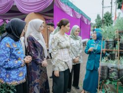 Kahiyang Ayu Apresiasi Program AKU HATINYA PKK di Tebingtinggi