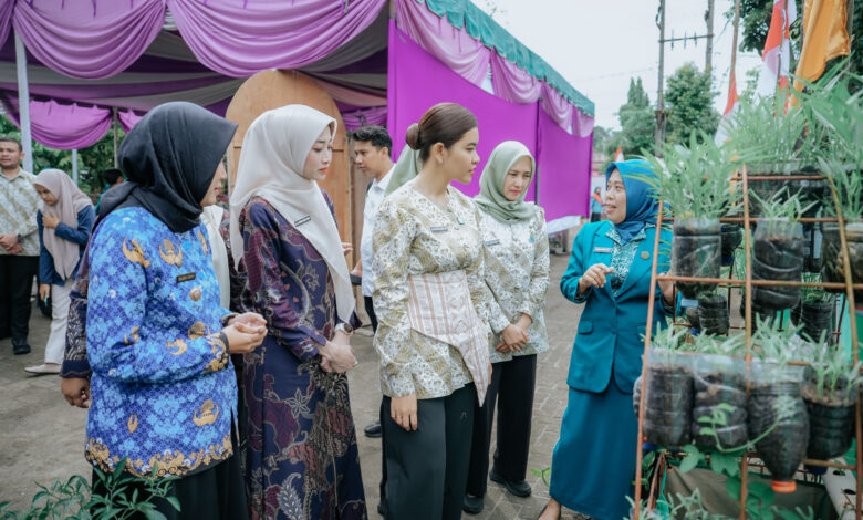 Ketua TP PKK Monitoring di Tebing Tinggi 5.jpg 780x470 1