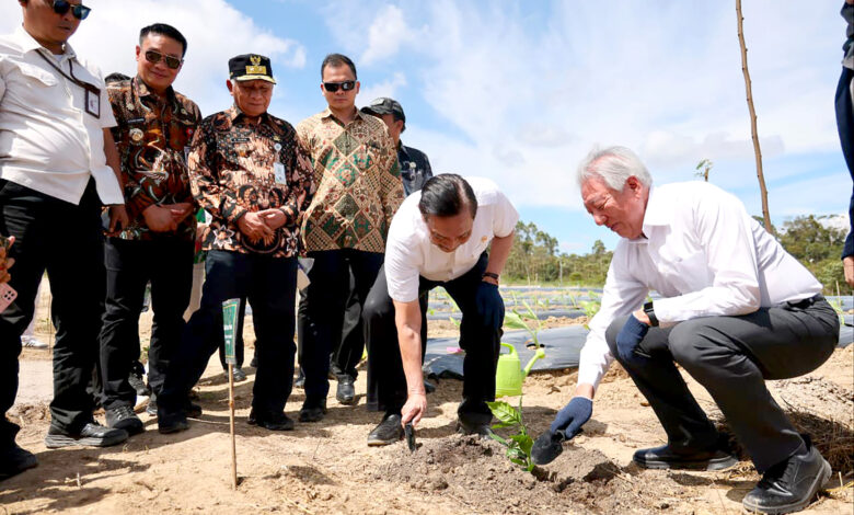 Foto Wagub Sumut Dampingi Delegasi Temasek Singapura Kunjungi Kawasan TSTH Humbahas 4.jpg 780x470 1
