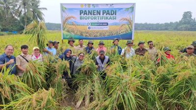 IMG 20260813 WA0147