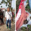 Bendera Merah Putih Diduga Dikoyak dan Diinjak, Posko Satgas HKTI Asahan Dirusak