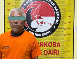 Tanam Ganja Hingga 20 Batang, Petani di Dairi Diringkus Polsek Tanah Pinem